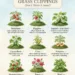 Plants That Love Grass Clippings