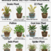 Houseplants That Tolerate Missed Care Better Than Overcare