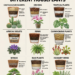 Potting Mixes for Different Houseplants