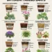 Potting Mixes for Different Houseplants