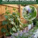 The Best Cucumber Companion Plants