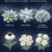 The Moonlight Garden: 12 Plants That Glow in Moonlight Without Needing Electricity
