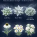 The Moonlight Garden: 12 Plants That Glow in Moonlight Without Needing Electricity