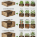 Raised Bed Depth Guide