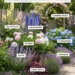 Layered Cottage Border Ideas