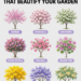 Flowering Trees That Beautify Your Garden