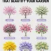 Flowering Trees That Beautify Your Garden