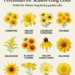 12 The Best Long Blooming Yellow Flowers