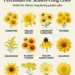 12 The Best Long Blooming Yellow Flowers