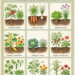 9 Companion Plant Pairs for Natural Pest Control