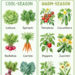 Cool-Season vs Warm-Season Vegetables