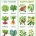 Cool-Season vs Warm-Season Vegetables