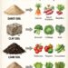 Wrong Soil, Wasted Season? Match Sandy, Clay, Loam, and Silty Soil to the Right Crops for Better Harvests