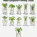 11 Herbs You Can Propagate in Water