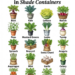 Vegetables That Grow in Shade Containers