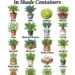 Vegetables That Grow in Shade Containers