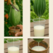 Unripe Papaya Latex: The Traditional Remedy People Use Carefully for Digestion and Skin Spots