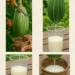 Unripe Papaya Latex: The Traditional Remedy People Use Carefully for Digestion and Skin Spots