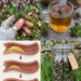 Purple Dead-Nettle Tea for Wellness: The Traditional Spring Herb People Mistake for an “Artery Clear” Remedy
