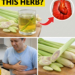 Lemongrass Tea: A Traditional Remedy for Digestion