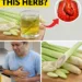 Lemongrass Tea: A Traditional Remedy for Digestion