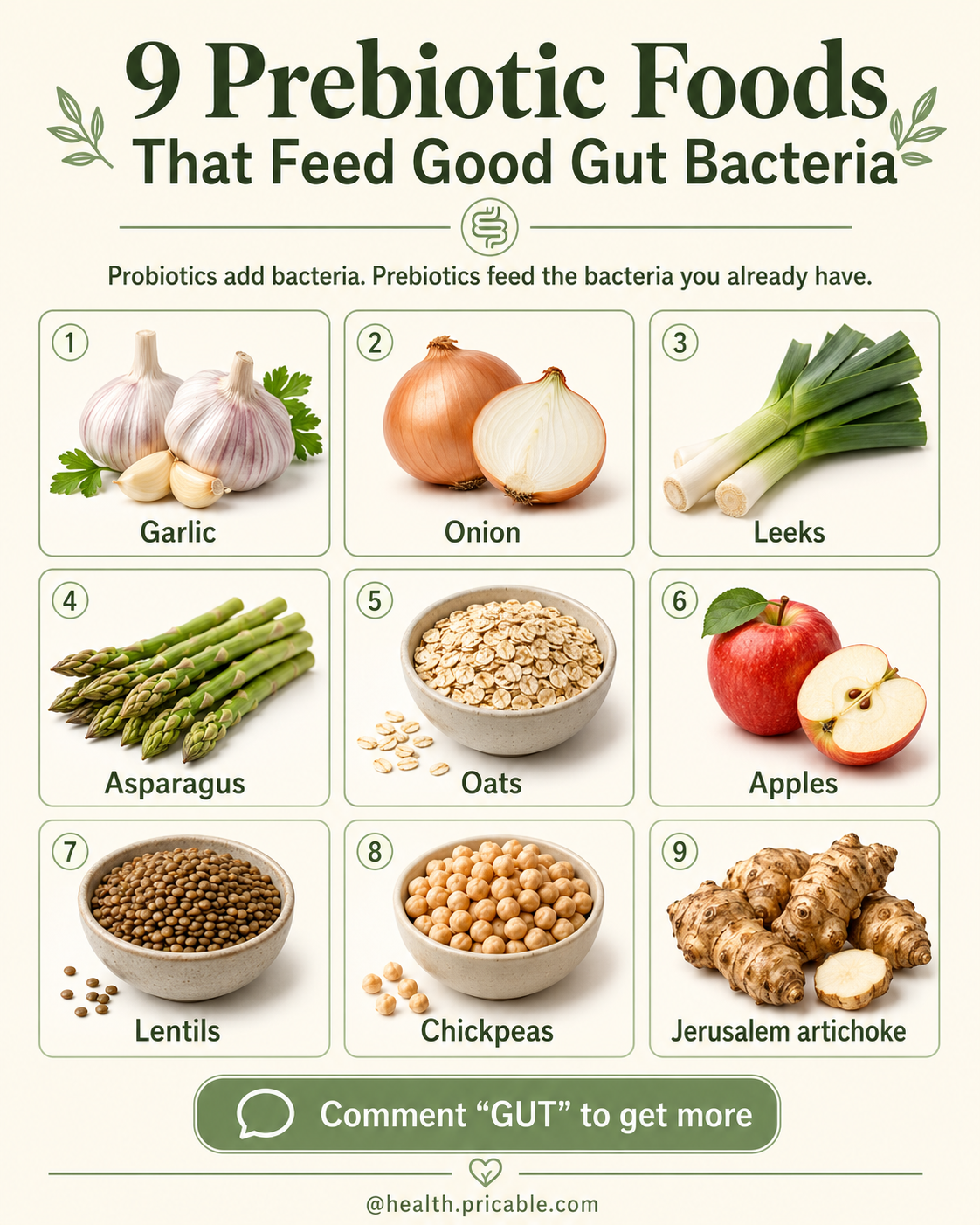 9 Prebiotic Foods That Feed Good Gut Bacteria Naturally