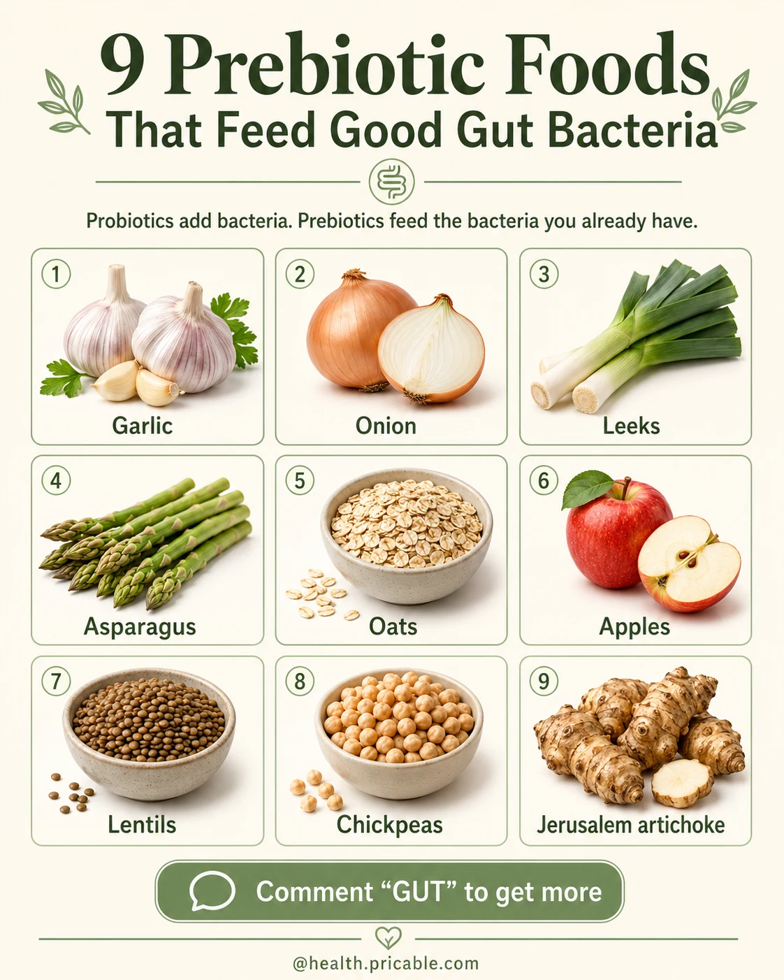 9 Prebiotic Foods That Feed Good Gut Bacteria Naturally