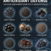 15 Dark Antioxidant Foods to Know for Better Color, Variety, and Phytonutrient Support