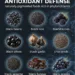 15 Dark Antioxidant Foods to Know for Better Color, Variety, and Phytonutrient Support