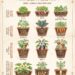 Container Depth Guide for Vegetables: How Deep Your Pots Really Need to Be for Healthy Roots and Better Harvests