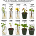 10 Trees and Shrubs You Can Root From Cuttings: A Practical Propagation Guide for a Fuller, More Affordable Garden