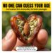 date almond fennel snack