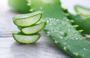 WHAT IS ALOE VERA? - Dr. Barbara Sturm - INTERNATIONAL