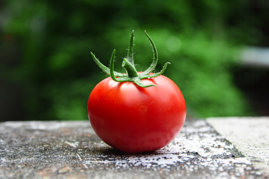 Close-up of fresh ripe red tomatoes perhaps with a slight dewy look emphasizing their natural vibrancy and freshness sui