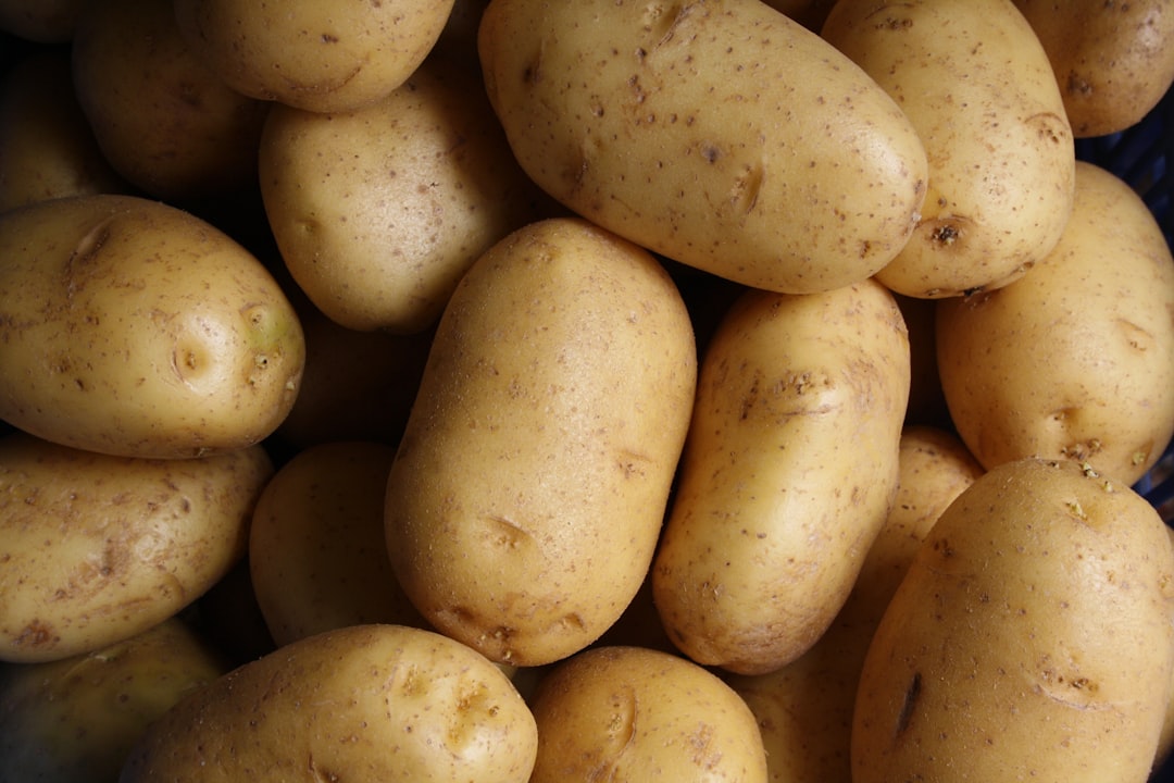 Fresh clean potatoes some peeled and some unpeeled showing their natural texture and earthy appearance hinting at their 