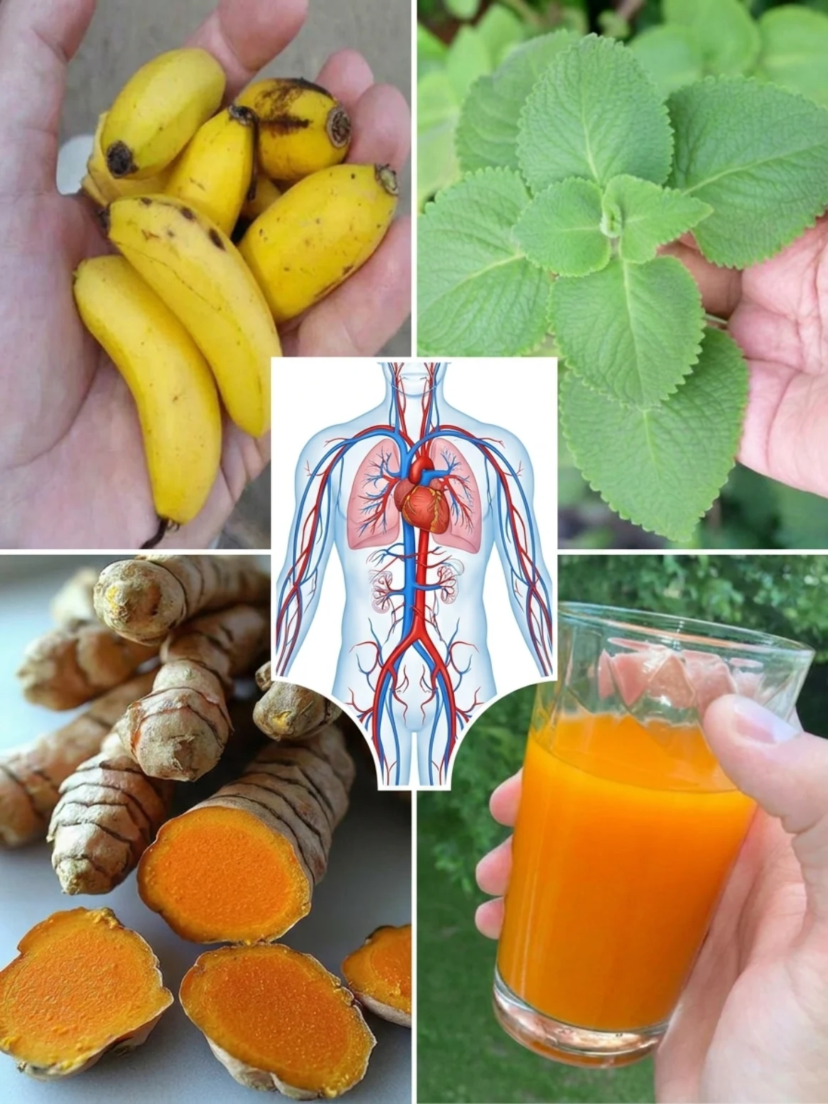 Banana, Turmeric, and Indian Borage Drink: A Simple Traditional Remedy for Everyday Circulation and Body Comfort