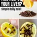 Lemon and Clove for Liver Support?