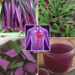 Oyster Plant Tea for Circulation