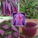 Oyster Plant Tea for Circulation
