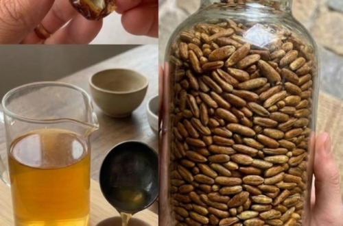 Date Seed Drink Benefits You May Not Know
