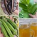 Okra, Guava Leaf, and Aidan Fruit Tea: The Traditional Herbal Drink People Make for Gentle Daily Support