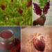 Sumac Tea for Heart Health