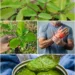 Life Plant for Wrist Pain
