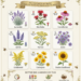 Cultivate a Buzz: 9 Must-Have Plants to Attract Bees to Your Garden