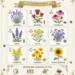 Cultivate a Buzz: 9 Must-Have Plants to Attract Bees to Your Garden