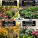 How House Direction Changes What Grows Best in Your Yard