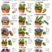 15 Houseplants You Can Multiply from a Single Leaf: A Beginner-Friendly Guide to Easy Leaf Propagation