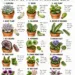 15 Houseplants You Can Multiply from a Single Leaf: A Beginner-Friendly Guide to Easy Leaf Propagation