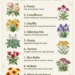 Plant Once, Enjoy Forever: 9 Must-Have Perennials for Your Garden