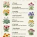Plant Once, Enjoy Forever: 9 Must-Have Perennials for Your Garden